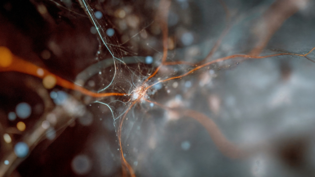 Qué es una red neuronal artificial y cómo se entrena